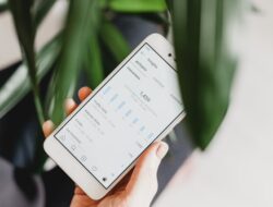 Tips Memilih Layanan Beli Followers Instagram yang Aman