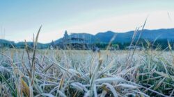 Cari Penginapan di Dieng? Ini Rekomendasi Villa dengan Harga Bersahabat