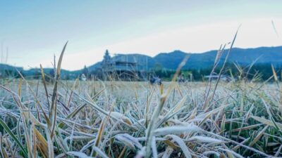 dieng
