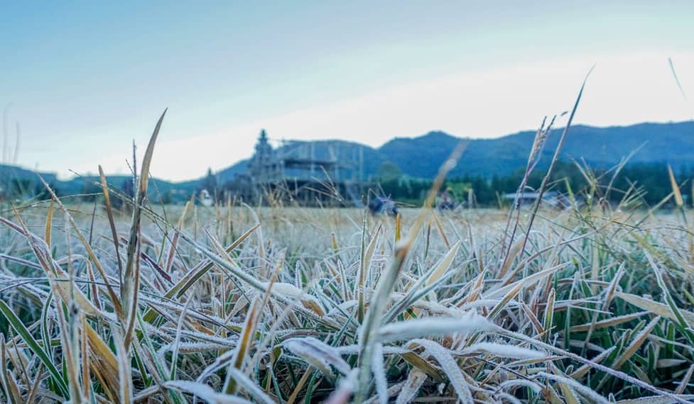 dieng